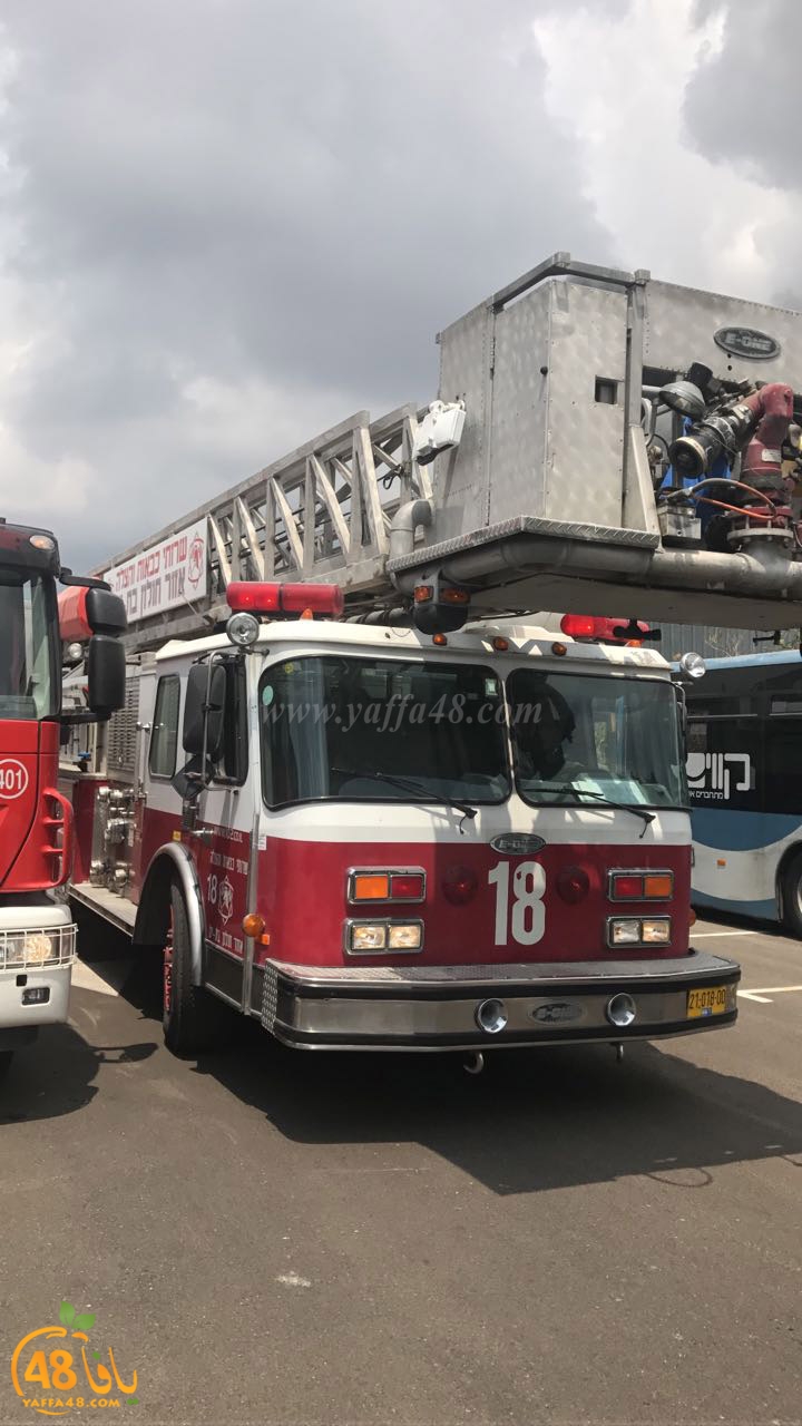 firbus eastyaffa (17).jpg